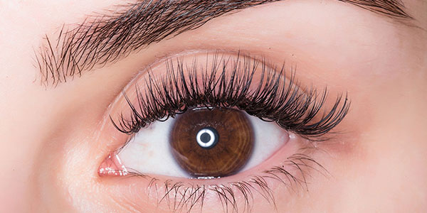 Lash Lift Training & Certification: Complete 2025 Guide