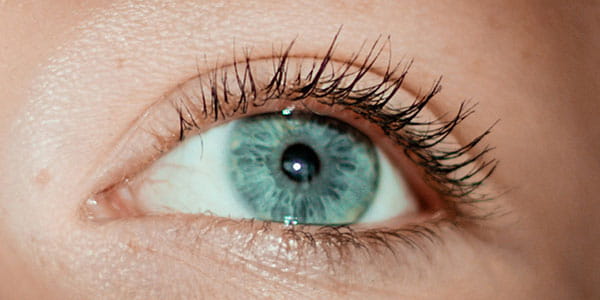 Lash Lift Cost in India