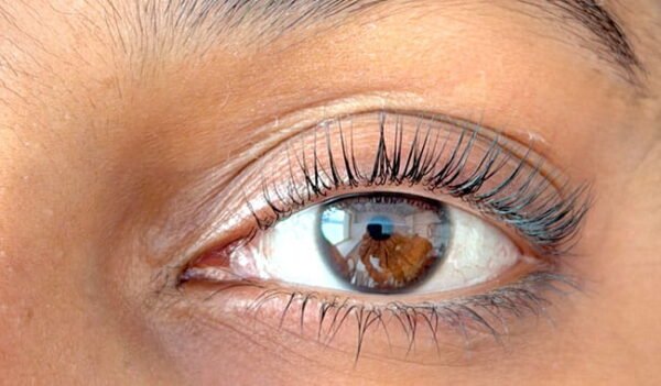 Brow Lamination and Tint: Everything You Need to Know Before Your Appointment